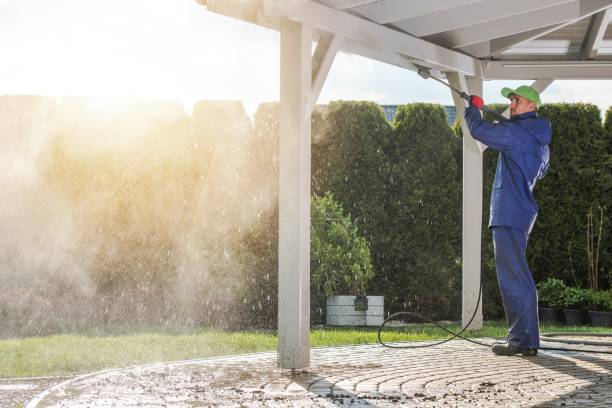 Best Graffiti Removal Services in Ford Heights, IL