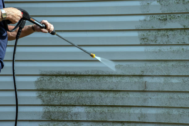 Best Window and Screen Pressure Cleaning in Ford Heights, IL